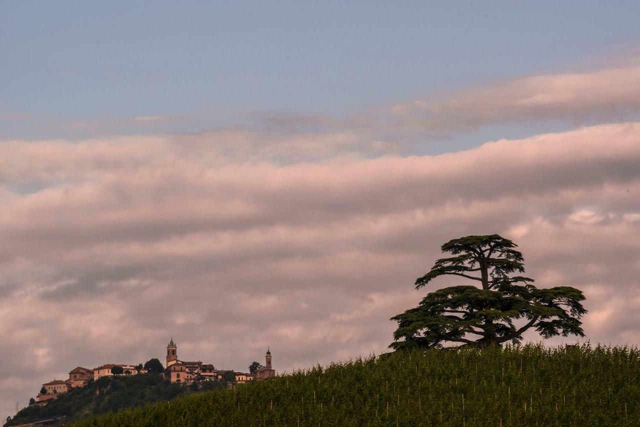 Villa Goccia Di Vino La Morra Bagian luar foto